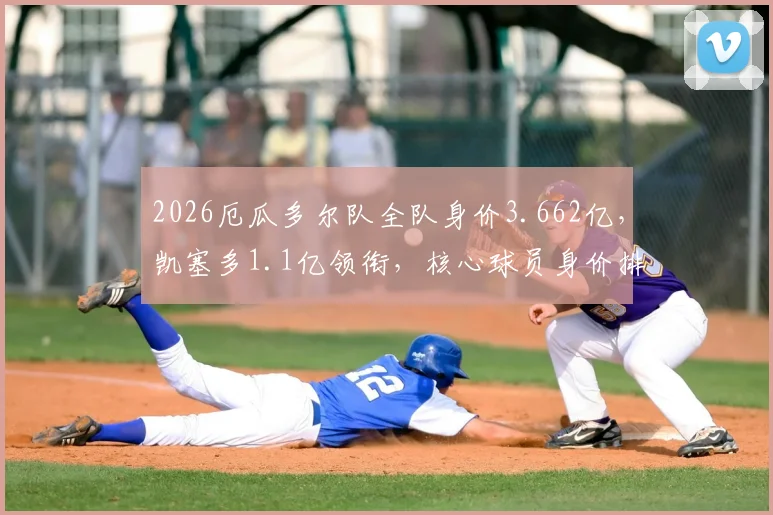 2026厄瓜多尔队全队身价3.662亿,凯塞多1.1亿领衔,核心球员身价排行详解
