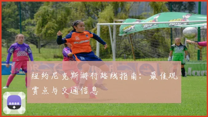 纽约尼克斯游行路线指南：最佳观赏点与交通信息