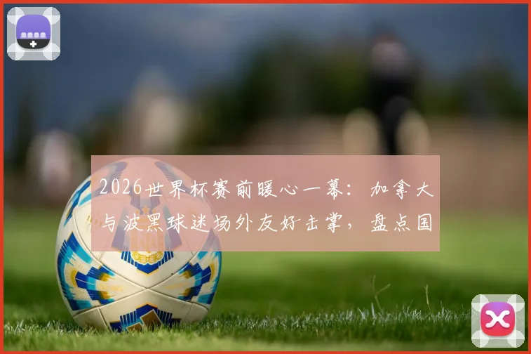 2026世界杯赛前暖心一幕：加拿大与波黑球迷场外友好击掌，盘点国际大赛球迷和谐瞬间